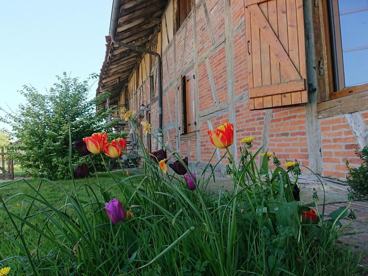 A La Poularde B&B Curciat-Dongalon Εξωτερικό φωτογραφία