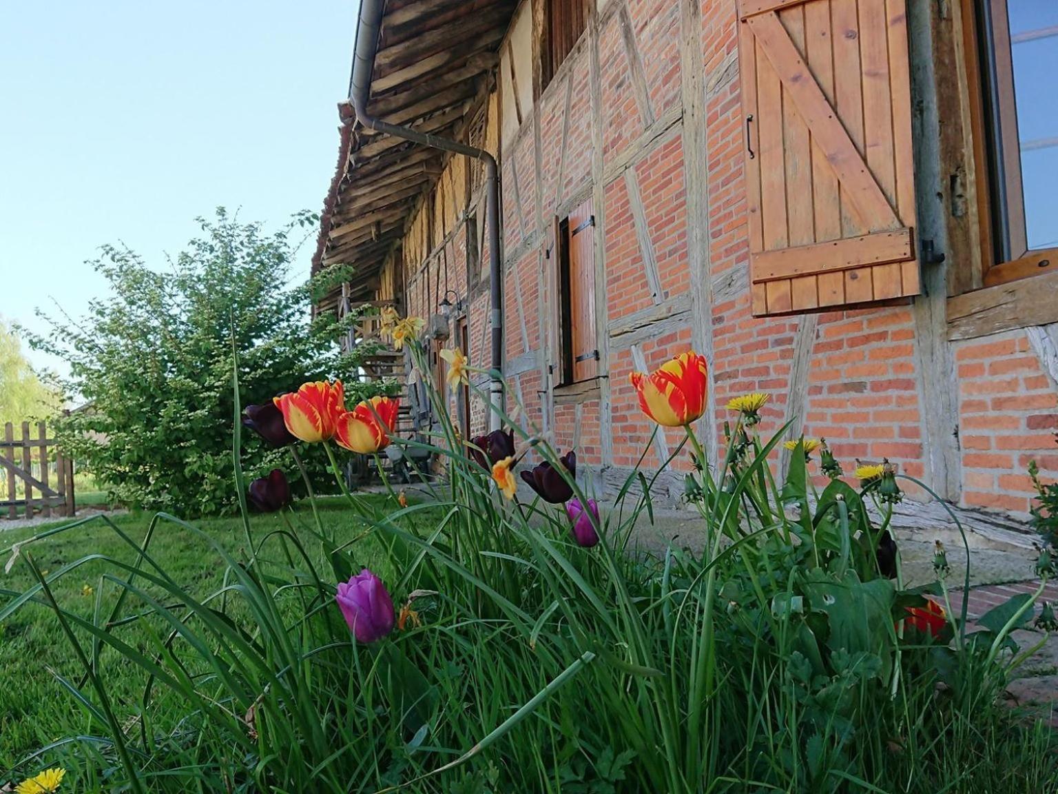 A La Poularde B&B Curciat-Dongalon Δωμάτιο φωτογραφία