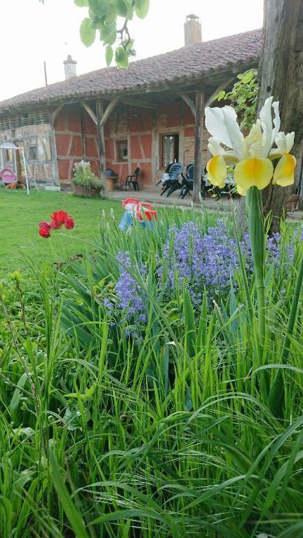 A La Poularde B&B Curciat-Dongalon Δωμάτιο φωτογραφία